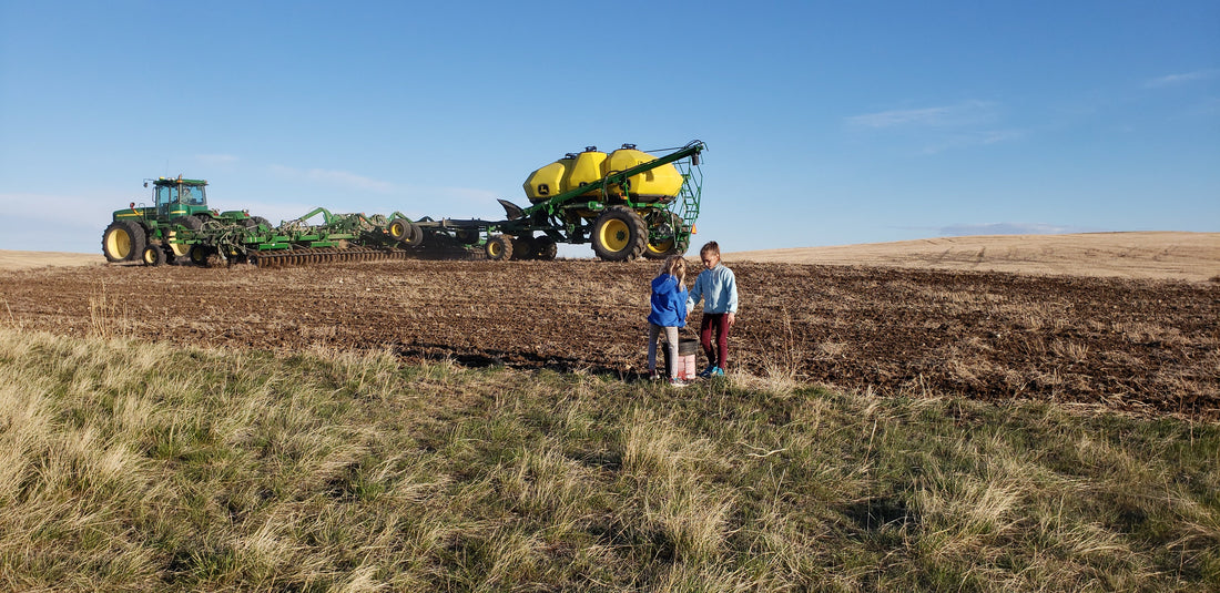 What Spring Prep Actually Looks Like