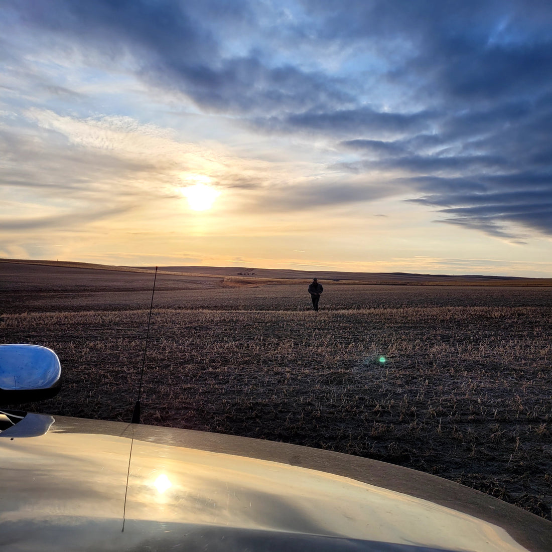 Spring Prep on the Farm: 18 Years In and Still Learning